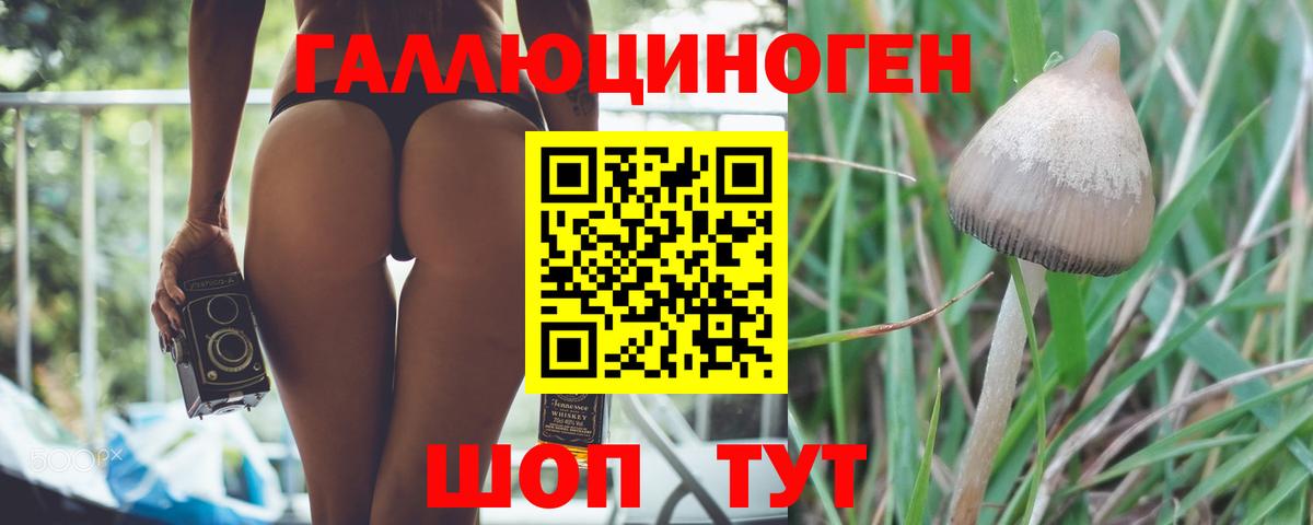 Лянтор  Псилоцибиновые грибы GOLDEN TEACHER  даркнет сайт  Вход с VPN 