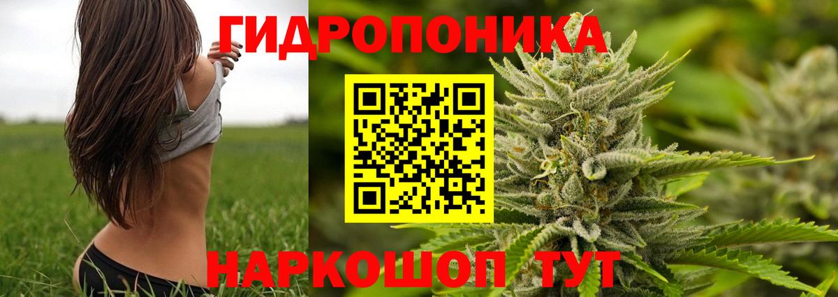 Канабис  Лянтор  NBOMe  Меф МЯУ МЯУ   Гашиш  Вход с VPN  Цена  КОКАИН 